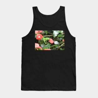 Madagascar, day gecko Tank Top